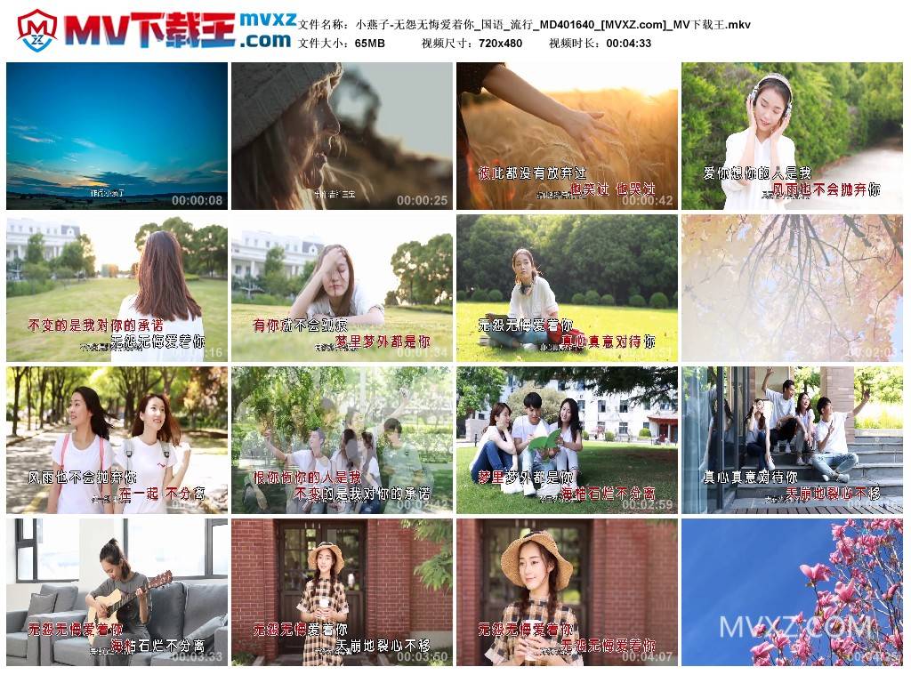 小燕子-无怨无悔爱着你_国语_流行_MD401640